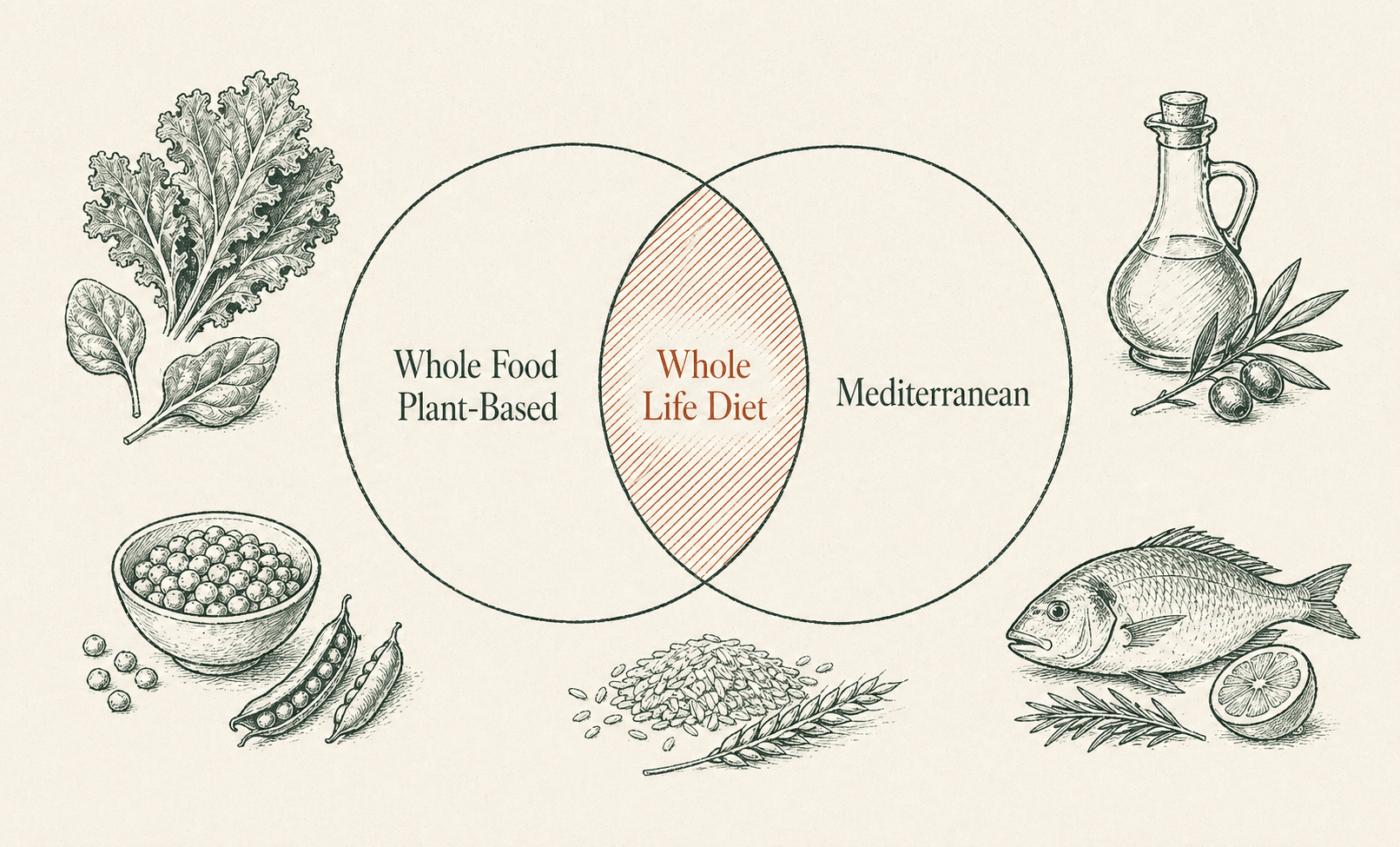 Hand-drawn Venn diagram joining Whole Food Plant-Based and Mediterranean eating into the Whole Life Diet.